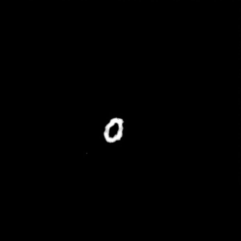 0001_punkin-head-00-neg